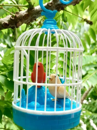 Generic Talking Bird Toy